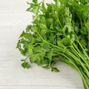 Coriander