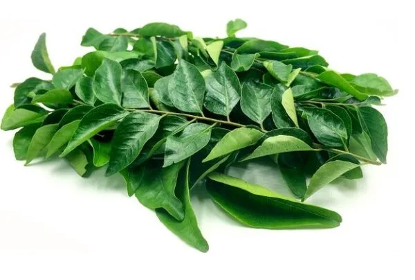 Curry Leaves