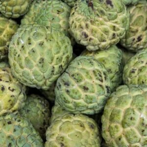 Custard Apple