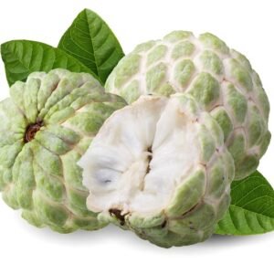 Custard Apple