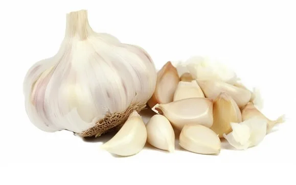 Garlic - Image 2