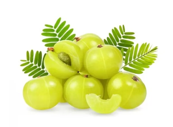 Gooseberry / Amla