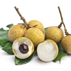 Longan