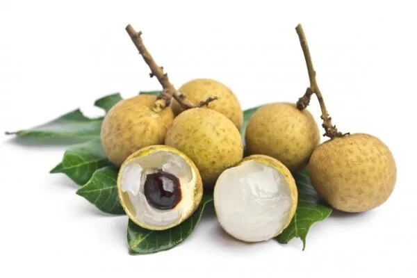 Longan - Image 2