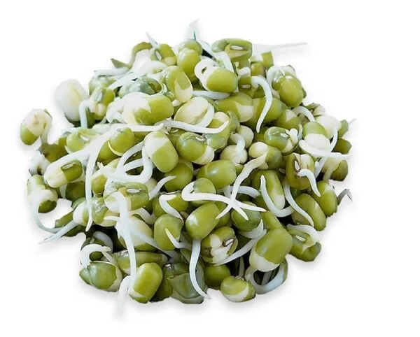 Moong Sprouts