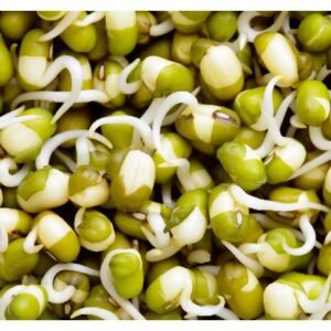 Moong Sprouts