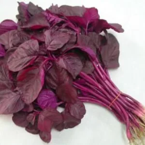 Red Amaranth