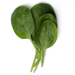 Spinach/Palak – Cleaned, without roots