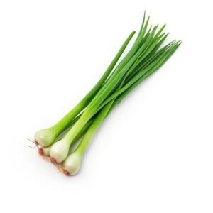 Spring Onion