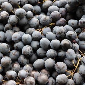 Black Grapes