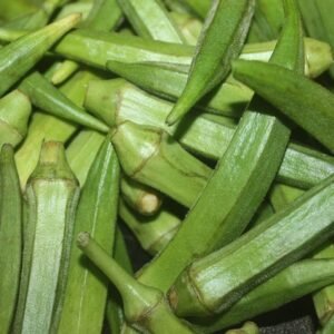 Okra/Bhendi