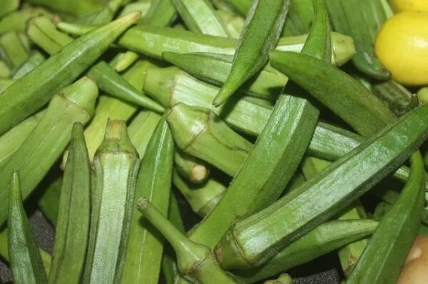Okra/Bhendi - Image 2