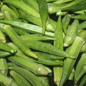 Okra/Bhendi